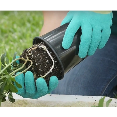 Microfoam Work Gloves