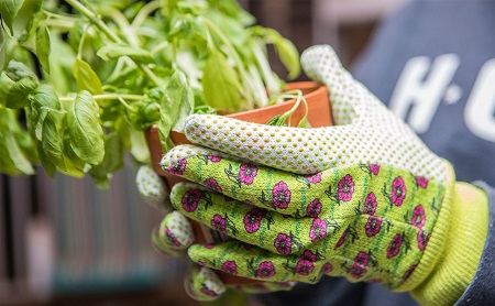 Soft Jersey Gloves