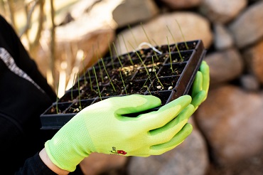 your garden gloves case study answers