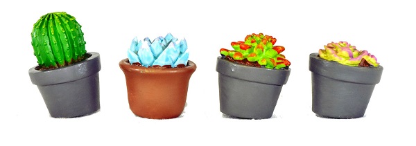 Fairy garden miniature succulents