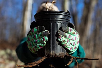 Kids Garden Work Gloves