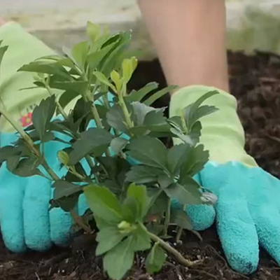 Garden Work Gloves